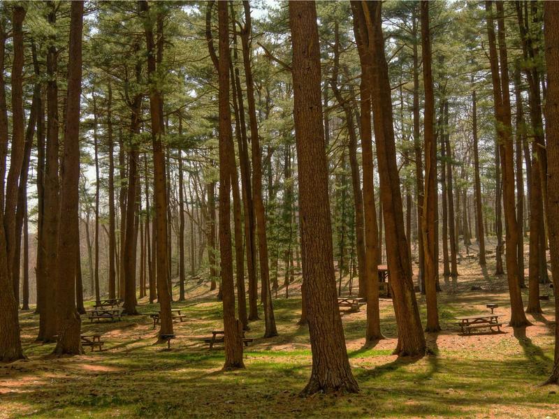 sudoku pattern learning screenshot 3