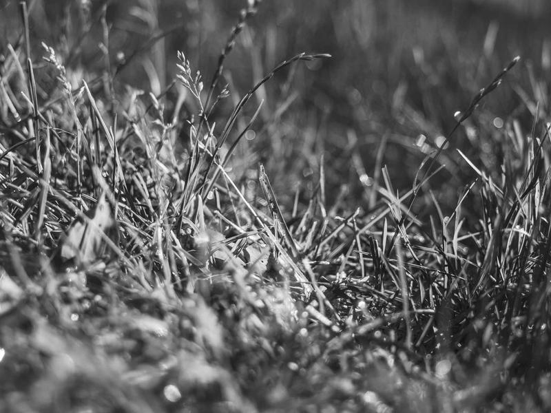 sudoku logic puzzle screenshot 6